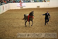 usn07_j09008 proof