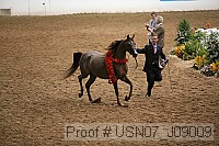 usn07_j09009 proof