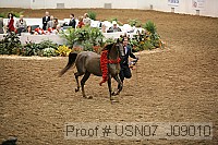 usn07_j09010 proof