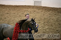 usn07_j09014 proof