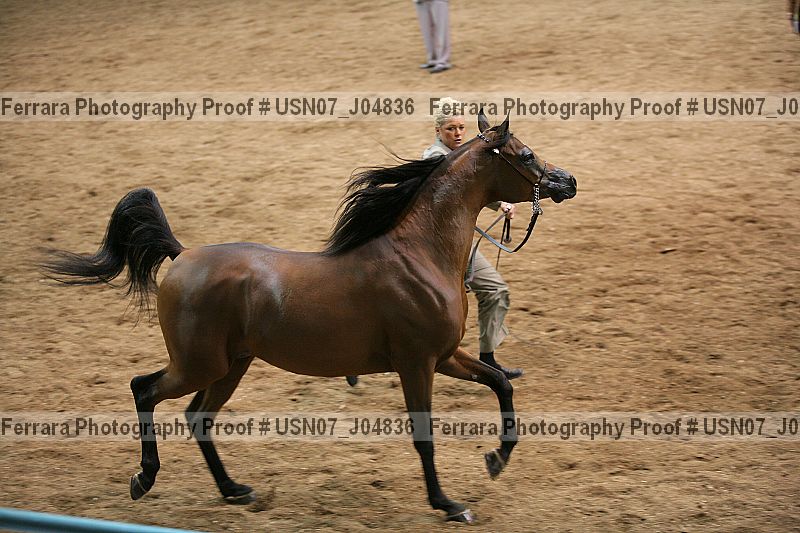 Proof usn07_j04836