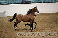 usn07_j04838 proof