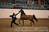 usn07_j04839 proof