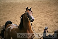 usn07_j04841 proof