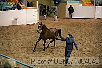 usn07_j04843 proof