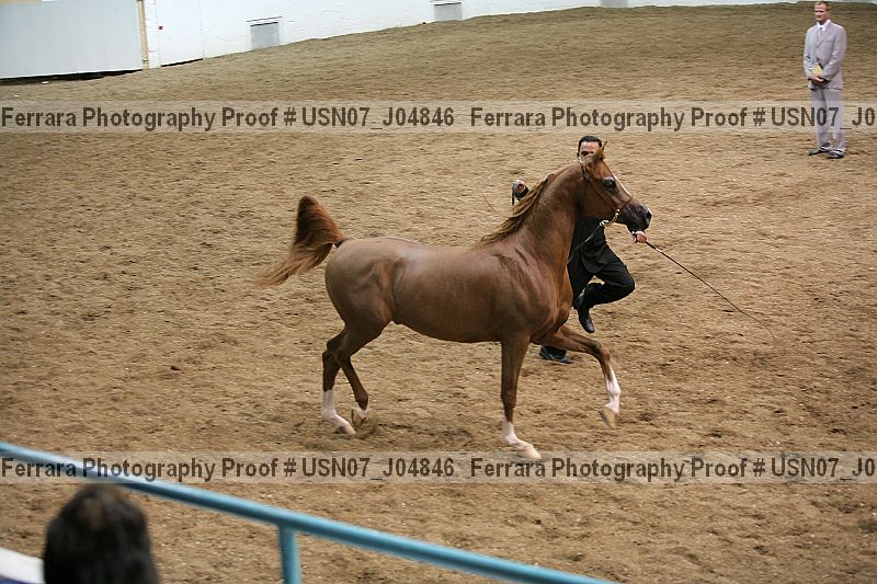 Proof usn07_j04846
