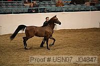 usn07_j04847 proof