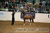 usn07_j04856 proof
