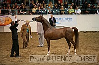 usn07_j04857 proof
