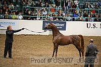 usn07_j04860 proof