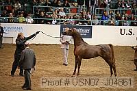 usn07_j04861 proof