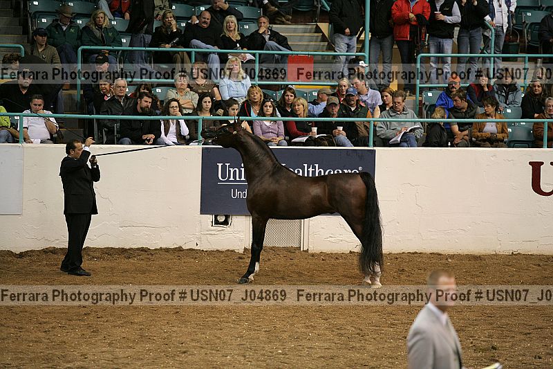 Proof usn07_j04869