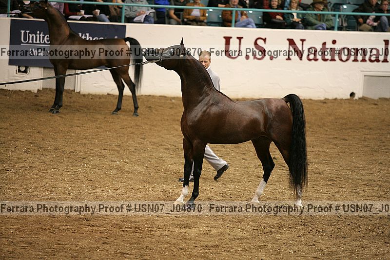 Proof usn07_j04870