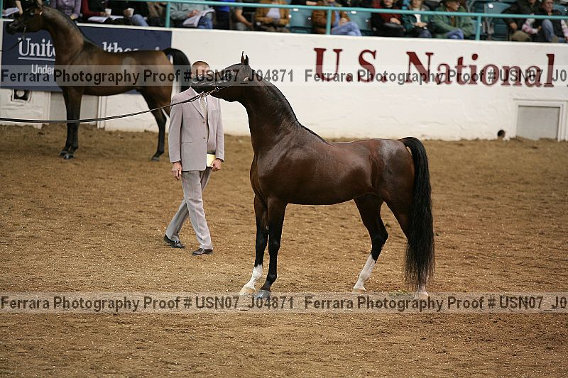 Proof usn07_j04871