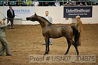 usn07_j04875 proof