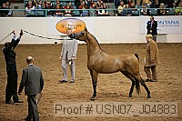 usn07_j04883 proof