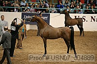 usn07_j04889 proof