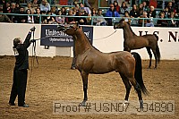 usn07_j04890 proof