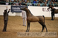 usn07_j04894 proof