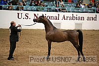 usn07_j04896 proof