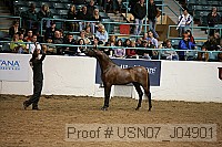 usn07_j04901 proof