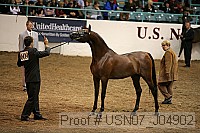 usn07_j04902 proof