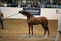 usn07_j04903 proof