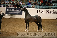 usn07_j04904 proof