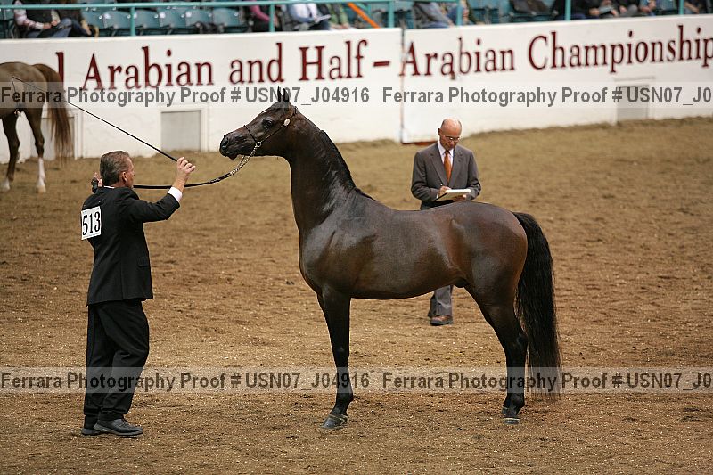 Proof usn07_j04916