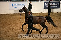 usn07_j04917 proof