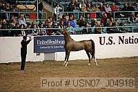 usn07_j04918 proof