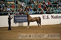 usn07_j04919 proof