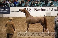 usn07_j04920 proof