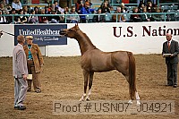 usn07_j04921 proof
