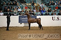 usn07_j04925 proof