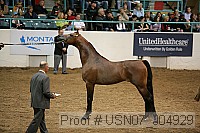 usn07_j04929 proof