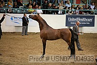 usn07_j04933 proof