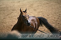 usn07_j04936 proof