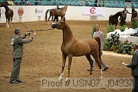 usn07_j04937 proof