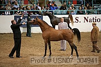 usn07_j04941 proof