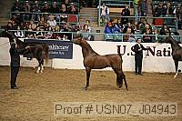 usn07_j04943 proof