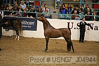 usn07_j04944 proof