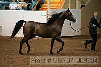 usn07_j09304 proof