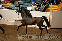 usn07_j09305 proof