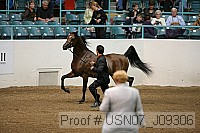 usn07_j09306 proof