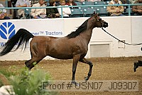 usn07_j09307 proof