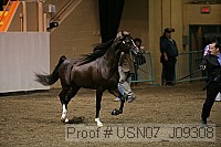 usn07_j09308 proof