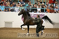 usn07_j09313 proof