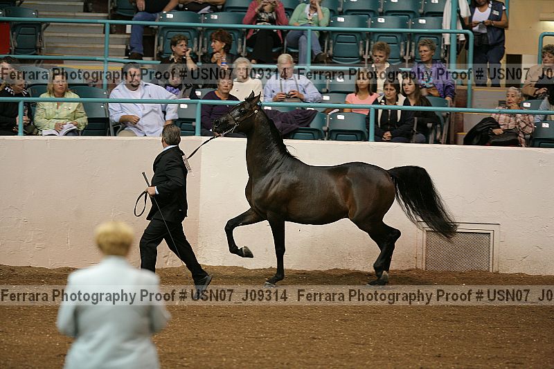 Proof usn07_j09314