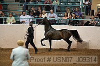 usn07_j09314 proof